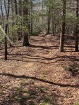 Hiking trails on property